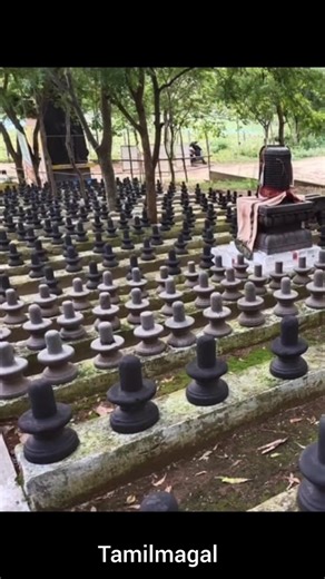 💥🔴தமிழ்நாட்டில் அதிக சிவ லிங்கங்களை கொண்ட 3 கோவில்கள் #sivankovilgal #sivantemple #ஆன்மீகம்
