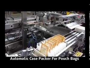 Automatic Case Packer for Pouch Bags