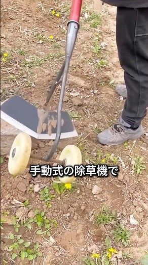 A Tool That Removes Weeds Just by Pushing It