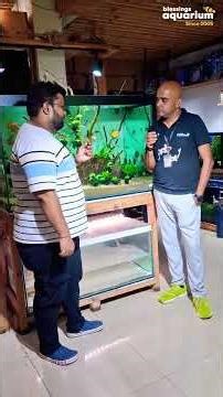 Real Client Review | Custom Aquarium Setup in Pune 🐠✨ | Blessings Aquarium