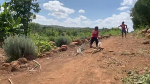 Life Made Easy Making vehicles for my boys do you know this type of car. Life made easy. | Radical Farmer - Organic Farm7