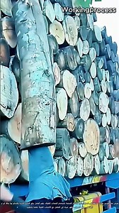 مهارات مذهلة في تحميل جذوع الأشجار الضخمة #worker #process #logging #wood #heavyequipment