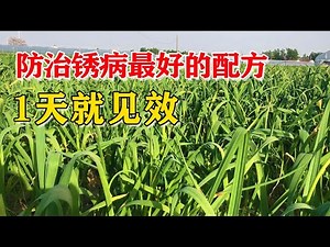 This is the best formula to prevent and treat rust, and it will be effective in one day!