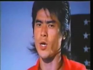 the super ninja (1)