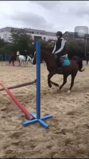 magnifique chute de cheval