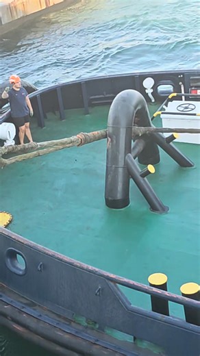 ⚓ TUGBOAT LIFE ⚓ There's something incredibly powerful about these hardworking vessels that most people never stop to appreciate. While others dream of yachts and speedboats, I'm out here with the real workhorses of the water - the mighty tugboat! 💪 These compact powerhouses might not look glamorous, but they're the unsung heroes of every harbor. From guiding massive ships safely to dock, to moving heavy barges, to rescue operations when things go wrong - tugboats are the backbone of maritime o