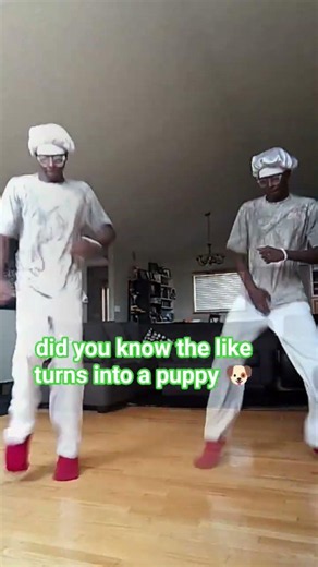 did you know this?! 🤔🐶👀🔥LET ME DRIVE FUNK dance trendc😶‍🌫️ #dance #fashion #shorts #fyp