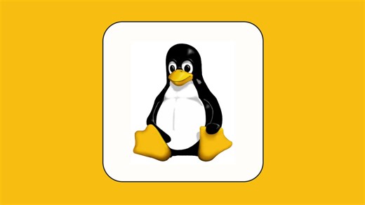 体验在家用 Linux（迫真）