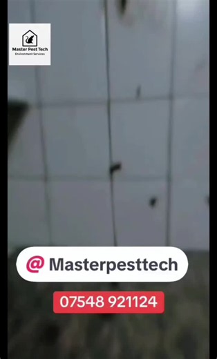 🛡️ TRUSTED PEST CONTROL ACROSS THE NORTH WEST Got a pest problem? Master Pest Tech provides professional pest control for homes and businesses across: 📍 Merseyside 📍 Greater Manchester 📍 Lancashire 🐀 Rats & Mice 🐝 Wasps 🪳 Cockroaches 🛏️ Bed Bugs 🦟 Fleas & Moths 🔧 Pest Proofing & Prevention ✅ BPCA Registered ✅ Professional & Reliable ✅ Fast Response ✅ Domestic & Commercial ✅ Effective Pest Control Solutions 📞 07548 921124 🌐 www.masterpesttech.co.uk MASTER PEST TECH Protecting homes & 