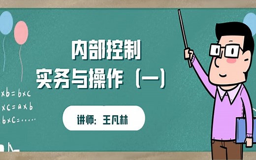 内部控制实务与操作（一）