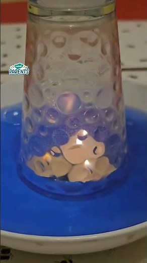 Amazing Kid Friendly Science Experiment #parenting