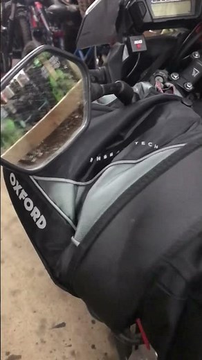 Muff Diving