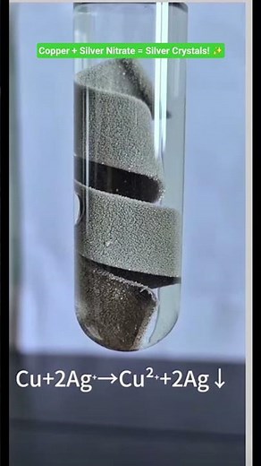 Copper & Silver Nitrate Reaction 🔬 | Silver Crystals Forming ✨#subscribe