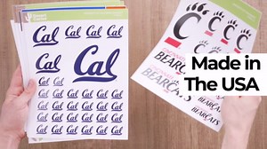 Desert Cactus Alpha Sigma Phi Sticker Multiple Size Decal Laptop Water Bottle Car 13.43x10.98 Sheet (Crest - Type 3)