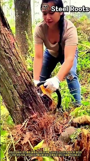 안전하고 효율적인 엔진톱 나무 절단 및 벌목 시공 가이드 #worker #process #chainsaw #safety #forestry