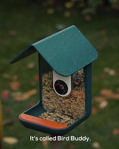 A smart bird feeder: Over $5 Million Raised and Still Going Strong 📢 Bird Buddy is a smart bird feeder that helps you get in touch with nature anywhere you are. If you love birds, you’re going to love Bird Buddy. Live on Indiegogo. Order now to get 10% off. | Birdbuddy