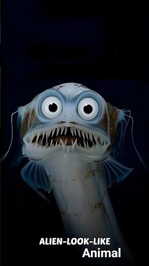 Alien-Looking Deep Sea Monster 👁️ The Telescope Fish