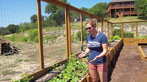 Easy DIY Drip System for Garden Irrigation