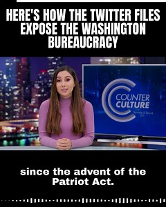 Here's How The Twitter Files Expose The Washington Bureaucracy | Danielle Gill