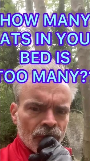 How Many Rats in Your Bed Is TOO Many Rats? #shorts