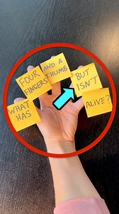 Whats the REAL answer? #questionoftheday #riddles #share #reelsvideo | Team Family