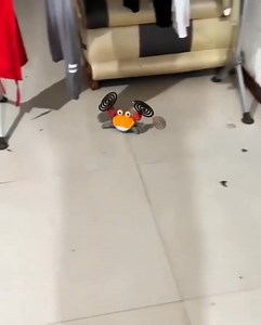 118K views · 1.5K reactions | technologia | Random Trends | Facebook