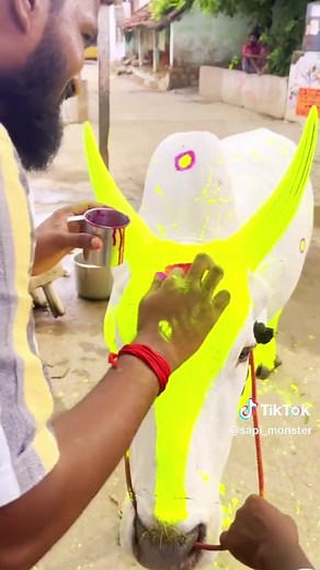 sapi speed😅#fyp #fypシ #fypage #sapimonster #sapikontes #sapijumbo #sapikurban #sapingamuk #creatorsearchinsights #foryou #foryou #iduladha #bull #cow #JelajahLiburan #sapilucu #lucu #funny