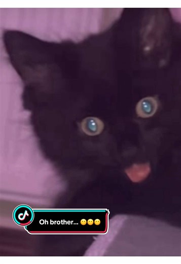 Unexpected Surprises in The Beginning: Episode 8 Part 4