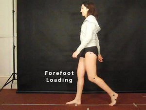 Phases of Human Bipedal Walking Gait Walking gait in the bipedal human is divided into stance phase, when the foot is on the ground, and swing phase, when the foot is off the ground. Stance phase is divided into three phases, contact phase, midstance phase and propulsive phase. Contact phase begins at heel contact and ends a forefoot loading. Midstance phase begins at forefoot loading and ends at heel-off. Propulsive phase begins at heel-off and ends at toe-off. Note that the center of mass of t