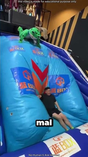 My dad threw me in the air! 😱