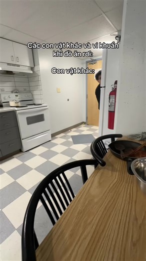 Luật 3s #dukesodope | the rule of thirds