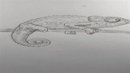 Draw a chameleon 🦎 Easy drawing lesson on how to draw a chameleon. #drawinglesson