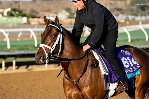 Jeff Ruby Steaks 2026: McCarthy Sends Stark Contrast and La Ville Lumiere to Turfway Preps