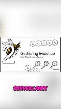 Bee Pollen The Secret Forensic Report of Their Travels