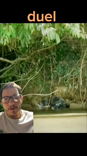 Exploring the Amazon: Jaguars, Crocodiles, and More!