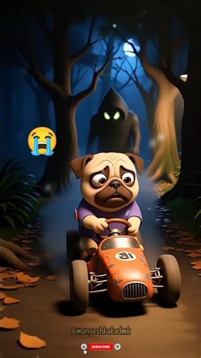 The Little Puppy Lost His Way Home... #funny #puppy #pets #dog #pug