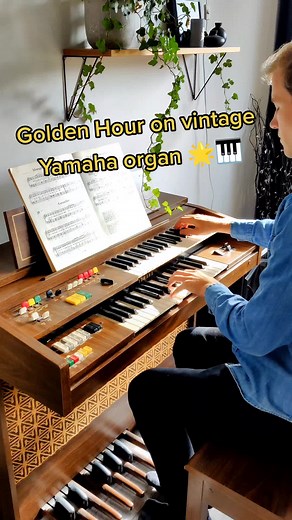 Hugo Sellerberg på TikTok