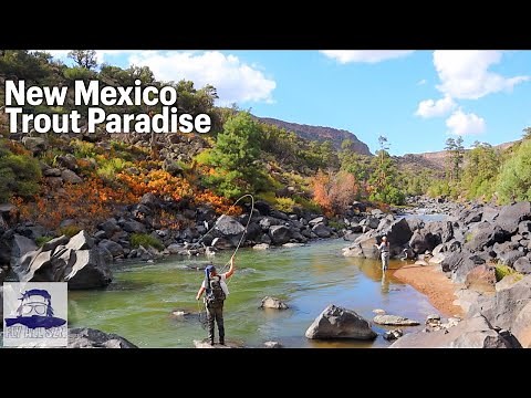 Be ready for MASSIVE fish at every turn | the most beautiful river | fly fishing the Rio Grande
