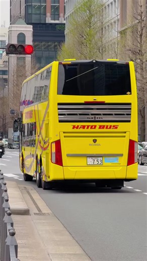 Exploring Hato Bus Scania K410EB in Tokyo