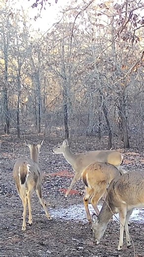 "The One In The Back APPROVES"