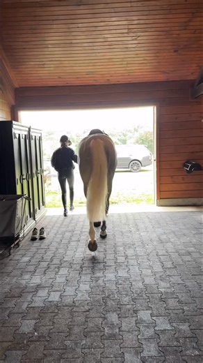 Jessica Springsteen on Instagram: "Rainy rides at home🥰🌧️🤍"