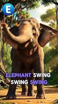 Learn the Alphabet With Dancing Animals!