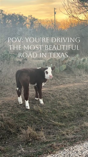 A hidden 13-mile drive in the Texas Hill Country with jaw-dropping scenery and famous for its spring wildflowers. Any guesses? #texas #hillcountry #views #countryroads