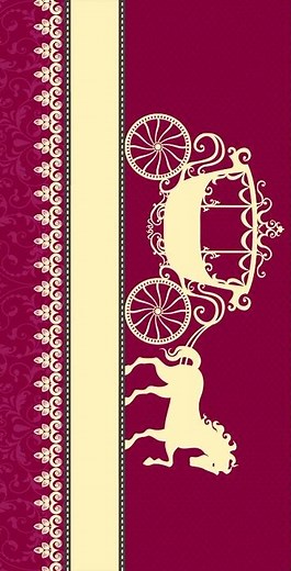 Wedding Invitation Background Template #13 Shorts