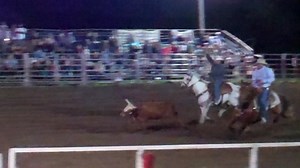 Tim "The Tornado" Felton and Louis LaFalce making a catch in the team roping! | Double M Rodeo