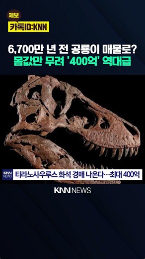 "Fossil Investment?" The Surprising Identity of the '40 Billion Won' Tyrannosaurus Fossil Up for ...