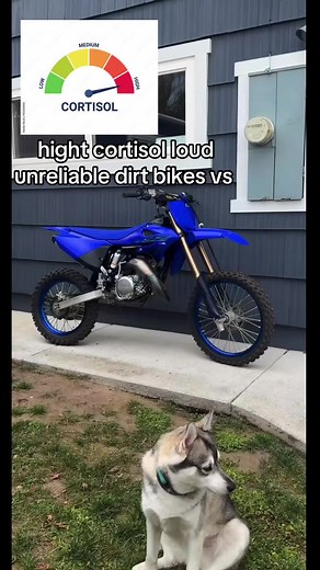 Electric vs Dirt Bikes: The Ultimate Comparison
