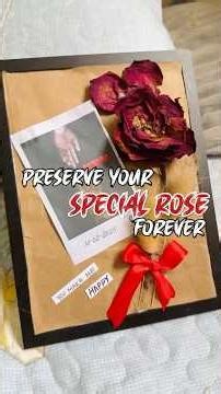 🥀Preserve your സ്പെഷ്യൽ റോസ് without Resin..!🥀#frame #rose #crafty_bee