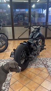 Brutalo Bobber 1948 Panhead by Bobber Garage Liechtenstein #harleydavidson #oldschool #motorcycle #knucklehead #bobber #chopper #custombike #customized #handmade #bobberbuild #chopperbuild #oldstyle #oldstyleneverdies #bobbergarage_official #liechtenstein #bobberbuild | Bobber Garage