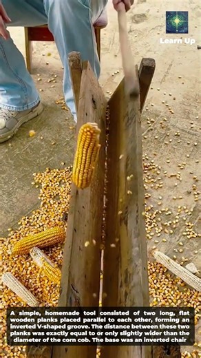 How did corn kernels separate in the old days